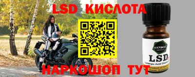 прущие грибы Нягань